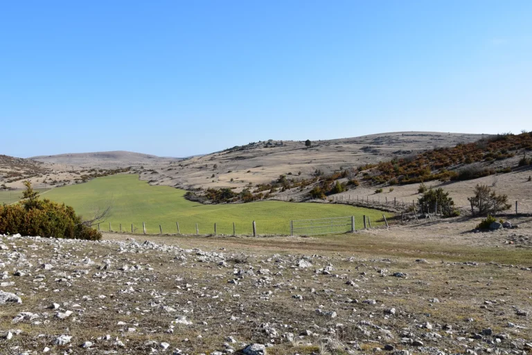 Grand Site de France - Gorges du Tarn, de la Jonte et Causses