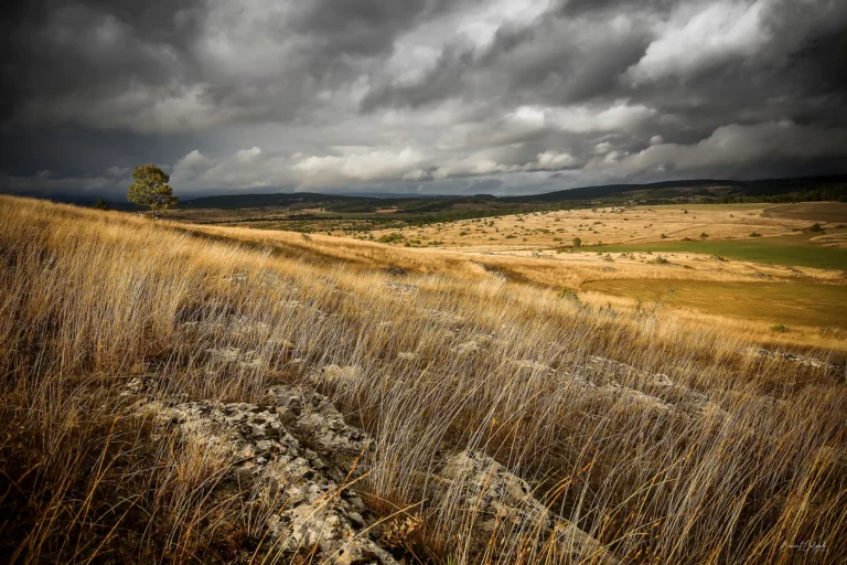 Grand Site de France - Gorges du Tarn, de la Jonte et Causses